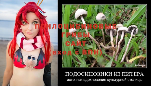 a pvp Богородск