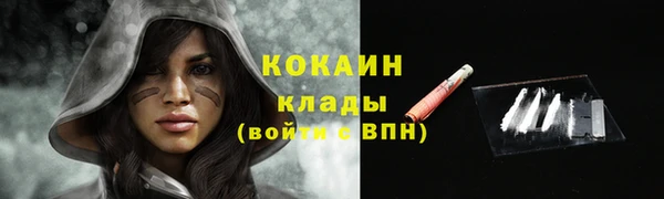 ПСИЛОЦИБИНОВЫЕ ГРИБЫ Богородицк