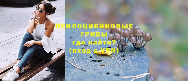 a pvp Богородск