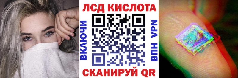 мега как зайти  Элиста  Наркотические марки 1500мкг 