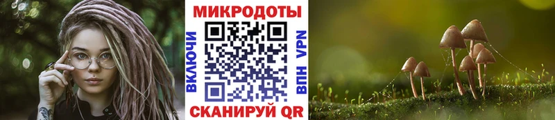 Псилоцибиновые грибы MAGIC MUSHROOMS  что такое наркотик  KRAKEN маркетплейс  Элиста 