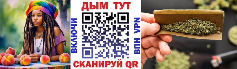 продажа наркотиков  Элиста  Марихуана сатива 
